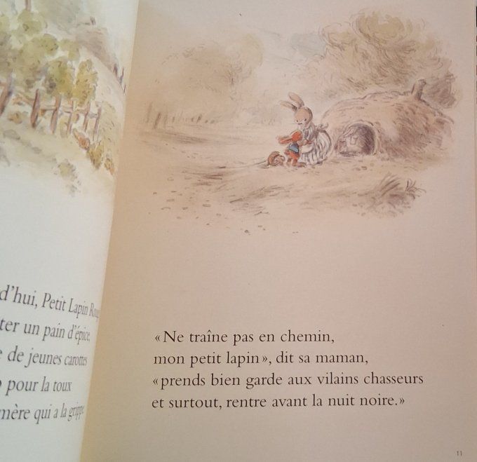 Petit lapin rouge