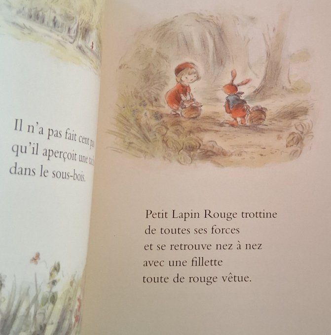 Petit lapin rouge