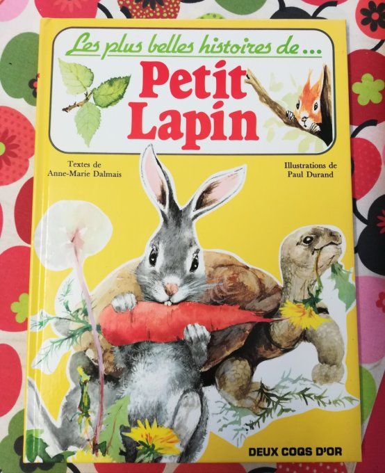 Les plus belles histoires de Petit lapin