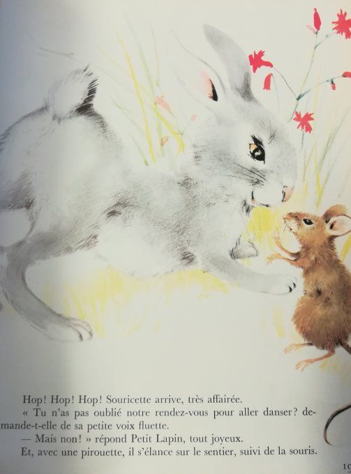 Les plus belles histoires de Petit lapin