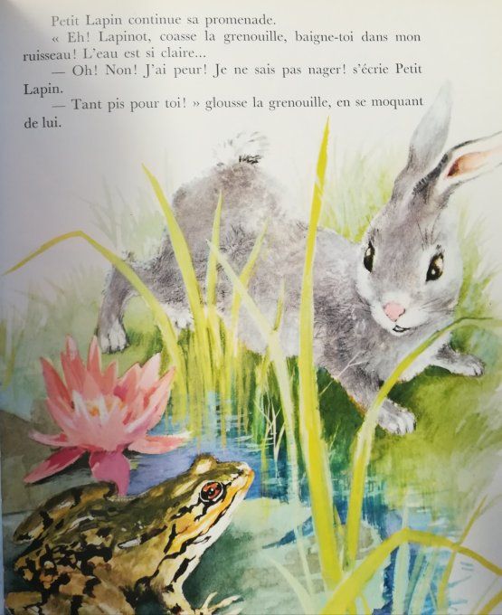 Les plus belles histoires de Petit lapin