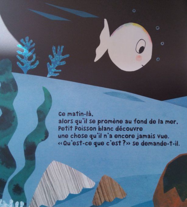Petit poisson blanc à la découverte des cinq sens