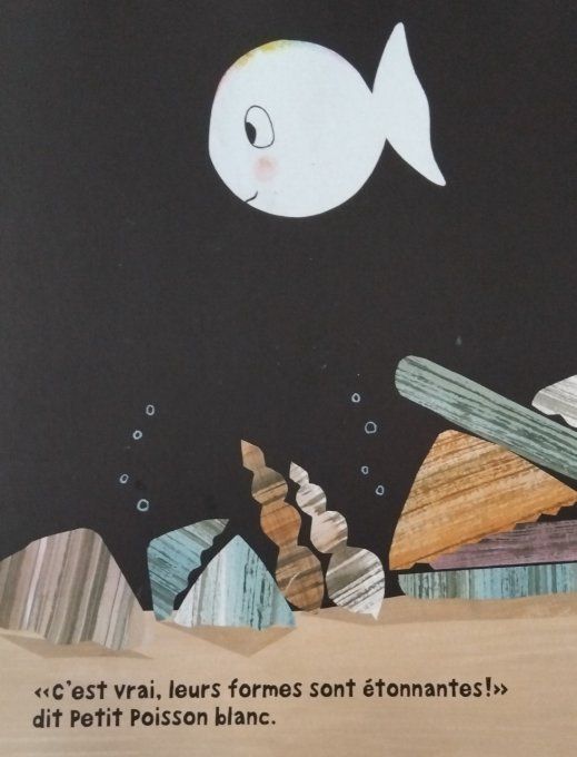 Petit poisson blanc et les trésors de la mer