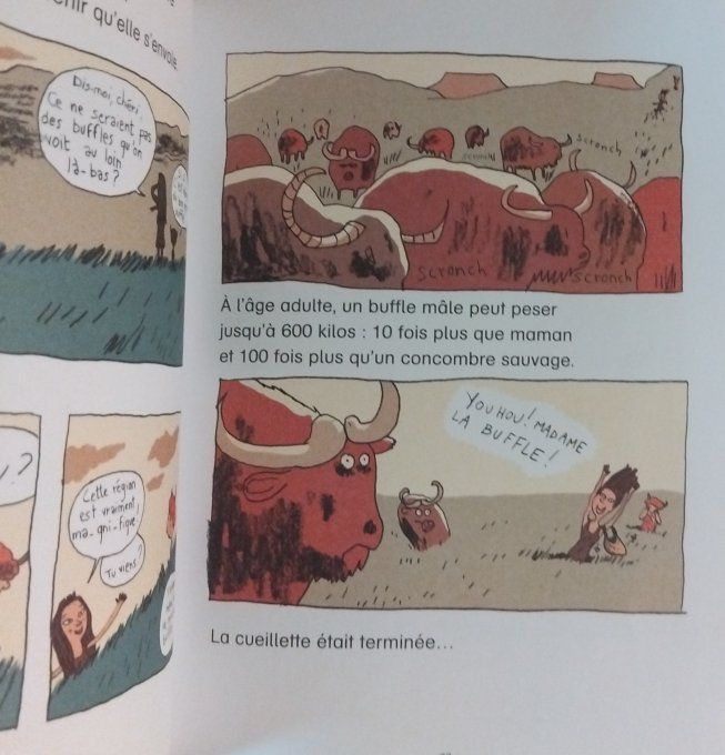 Petit Sapiens la vie de famille