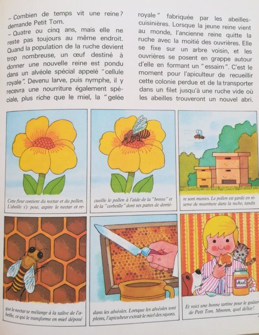 Petit-tom et son amie l'abeille