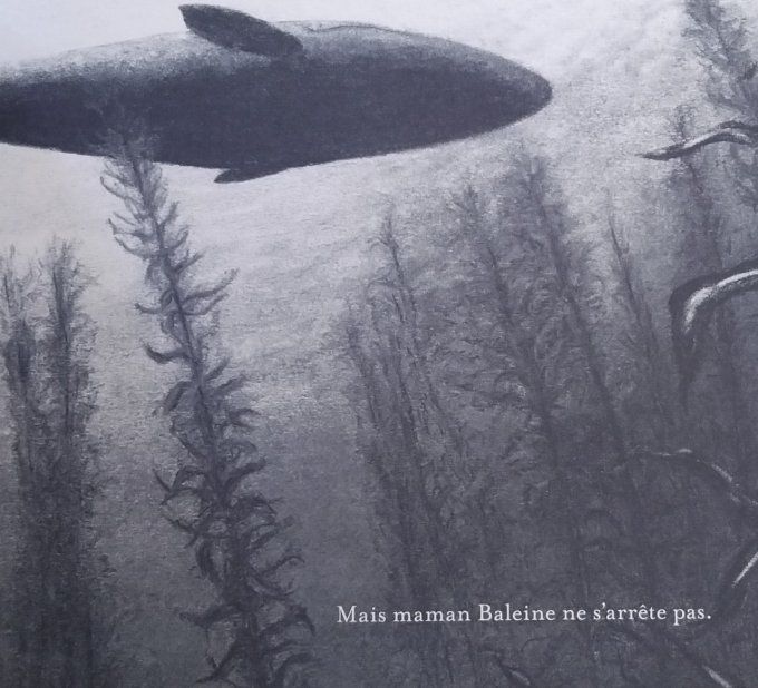 Petite baleine