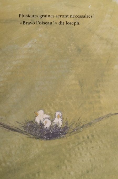 Petites graines