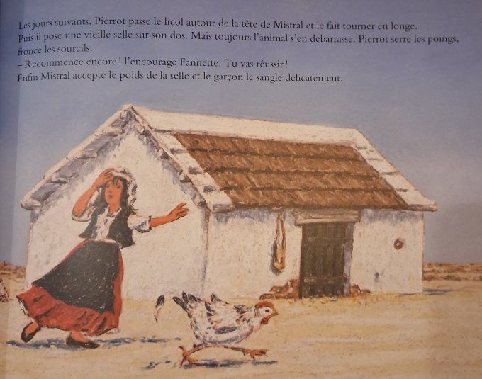 Pierrot gardian de Camargue