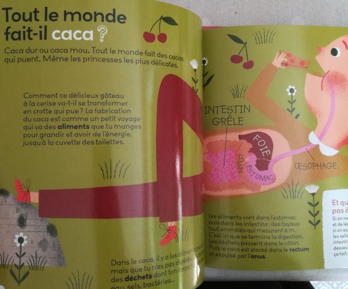 Mes p'tites questions, pipi, caca et crottes de nez