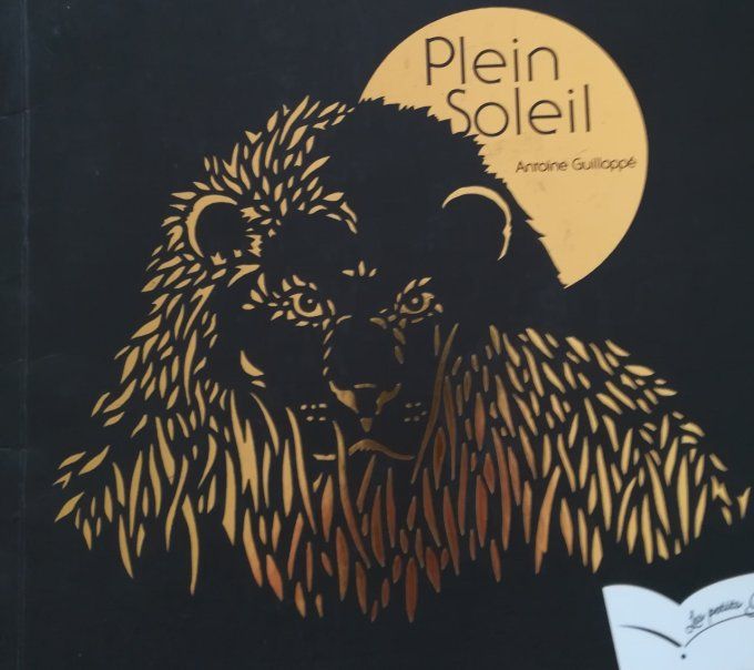 Plein soleil