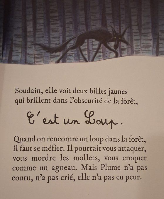 Plume et le vieux loup