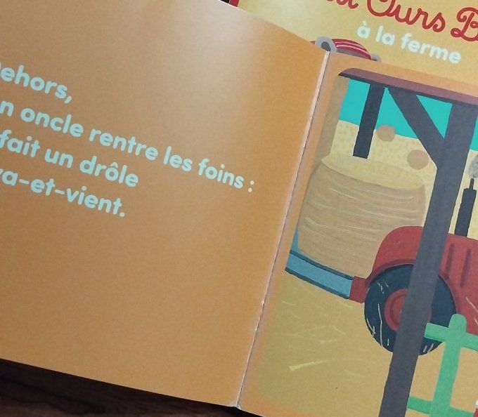 2 livres souples petit ours brun