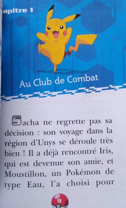 Pokémon noir et blanc, un mystérieux Pokémon tome 2