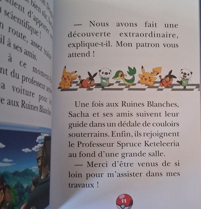 Pokémon tome 11 le réveil de Reshiram