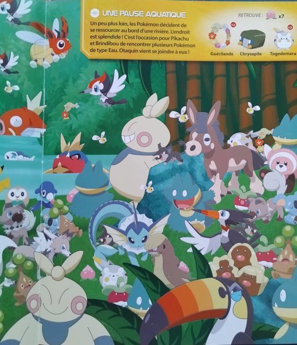 Pokémon cherche et trouve