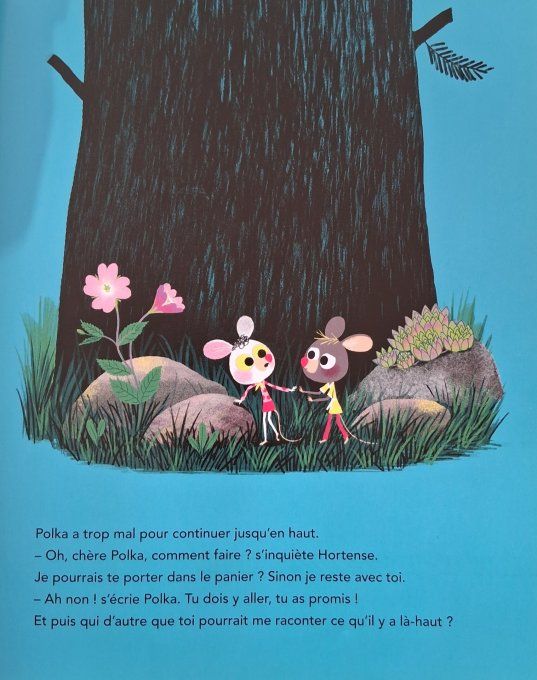 Polka et Hortense la grande aventure