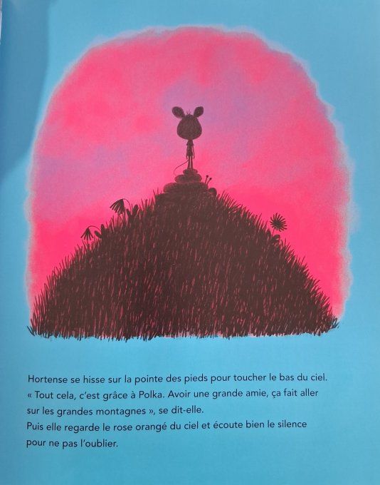 Polka et Hortense la grande aventure