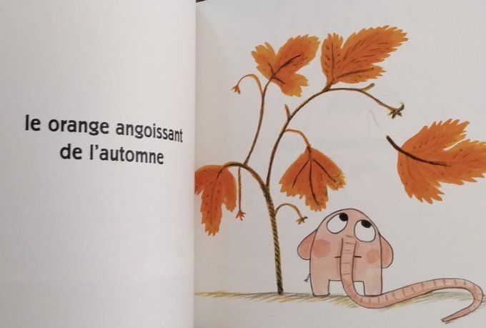 Pomelo et les couleurs