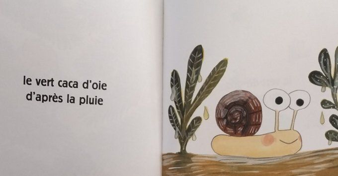 Pomelo et les couleurs