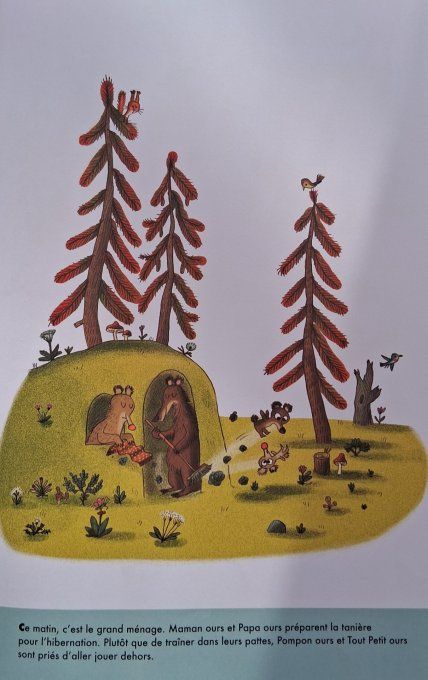 Pompon ours et Pompons blancs