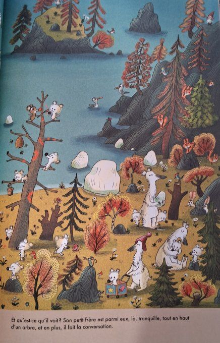 Pompon ours et Pompons blancs