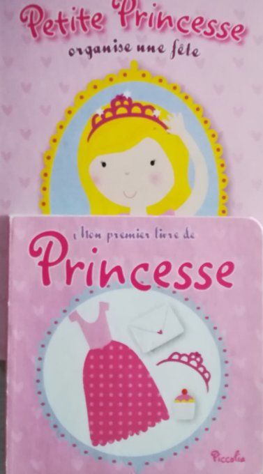 Lot 2 livres princesse