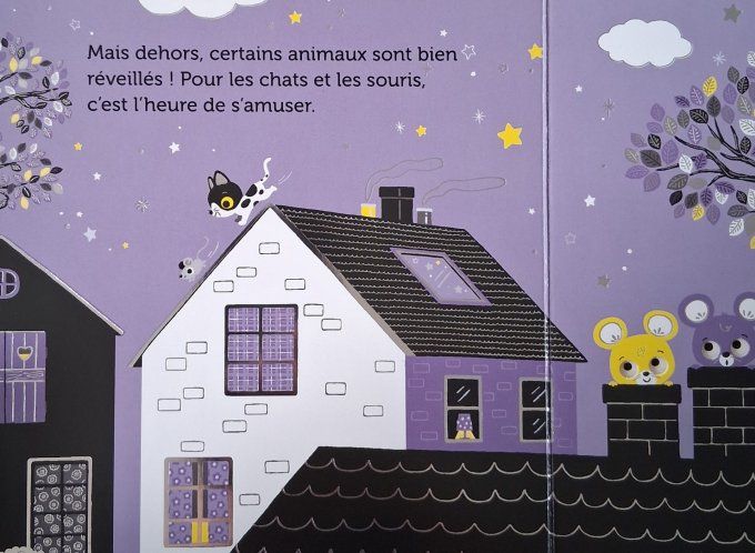 Promenade sous les étoiles