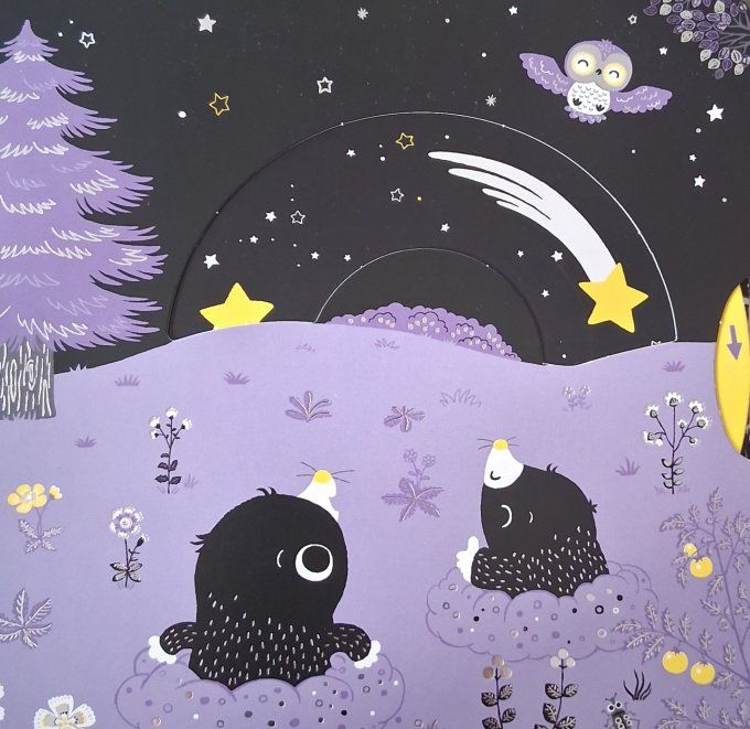 Promenade sous les étoiles