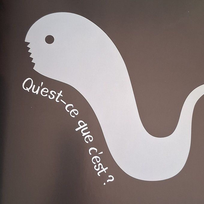 Qu'est ce que c'est ? amuse toi à reconnaître les ombres