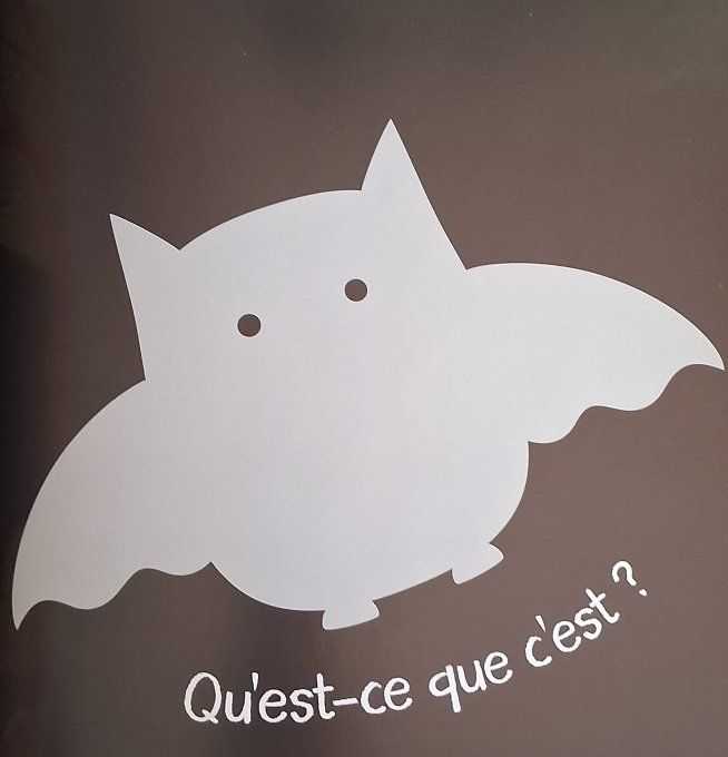 Qu'est ce que c'est ? amuse toi à reconnaître les ombres