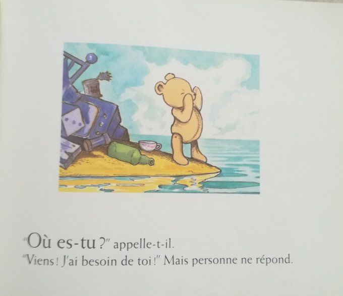 Que veux-tu petit Ours ?