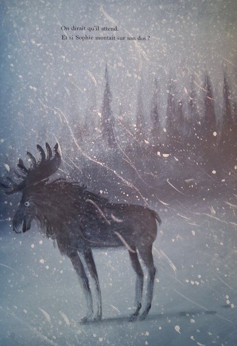 Quelque part dans la neige