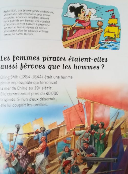 Questions/réponses les pirates