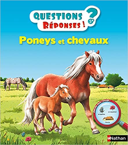 Questions/réponses, chevaux et poneys