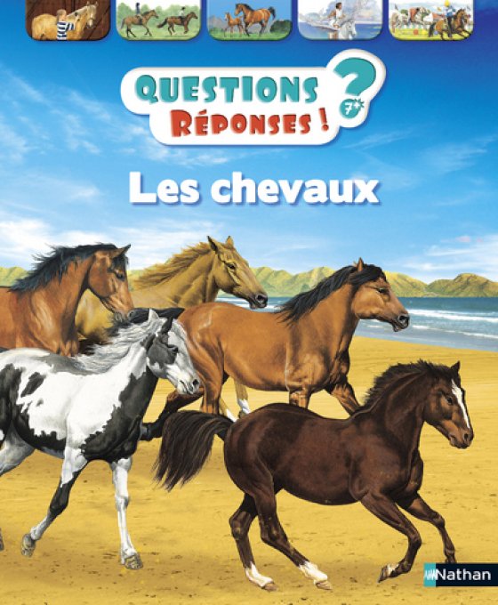 Questions/réponses, les chevaux