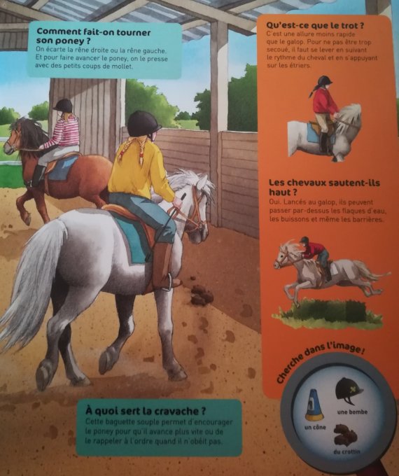 Questions/réponses, chevaux et poneys