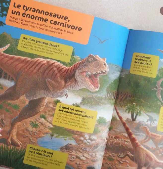 Questions/réponses, les dinosaures