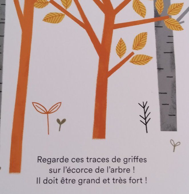 Une enquête de Loulou, qui a volé le miel des abeilles ?