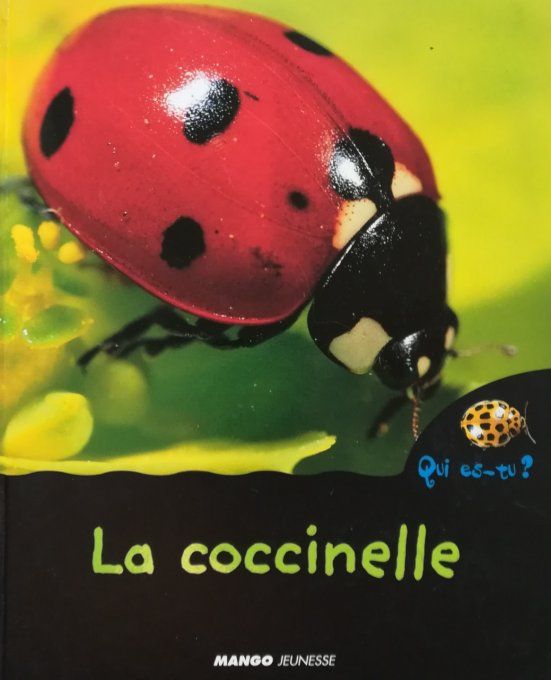 Qui es-tu ? La coccinelle