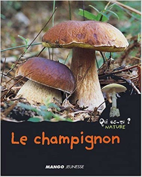 Qui es-tu ? Le champignon