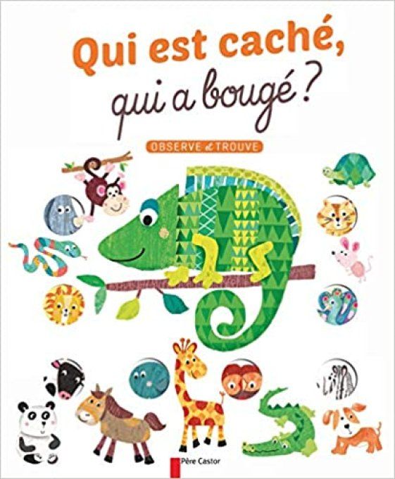 Qui est caché, qui a bougé ?