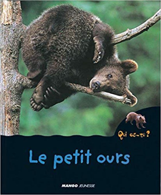 Qui es-tu ? Le petit ours