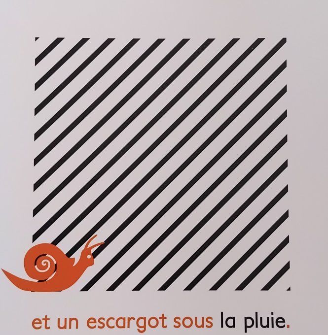 Qui où quoi 