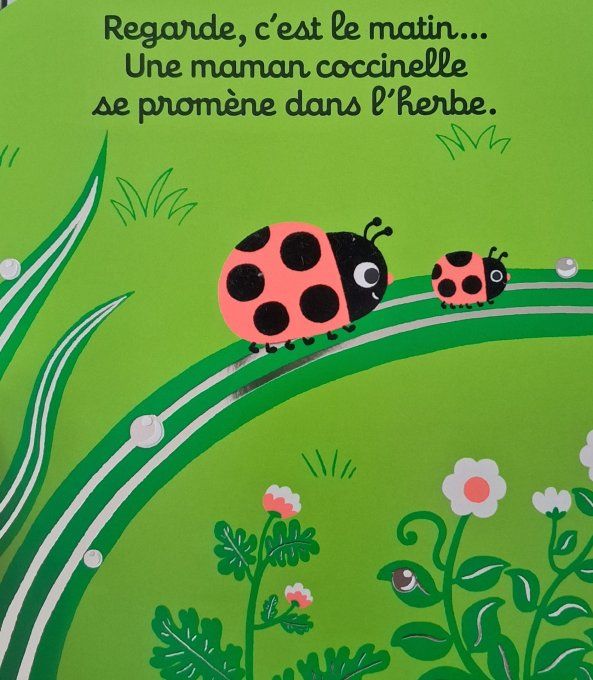 Regarde dans l'herbe