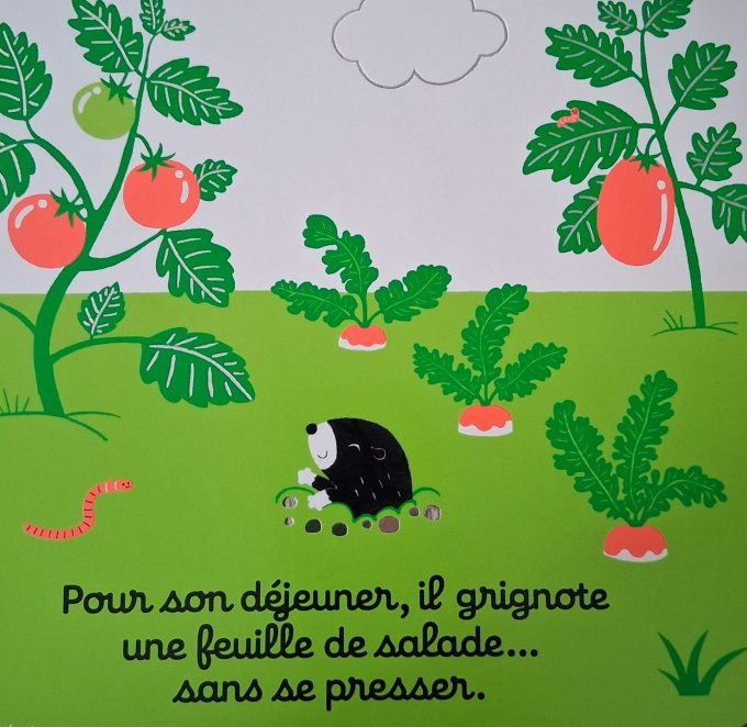 Regarde dans l'herbe