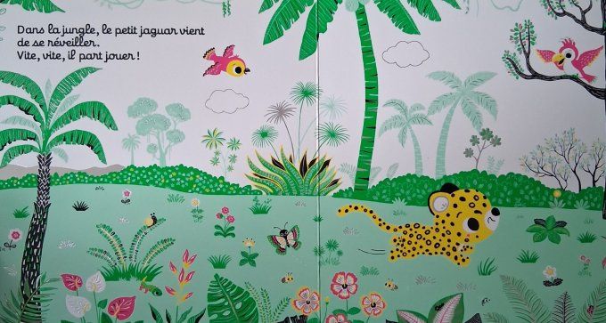 Regarde dans la jungle