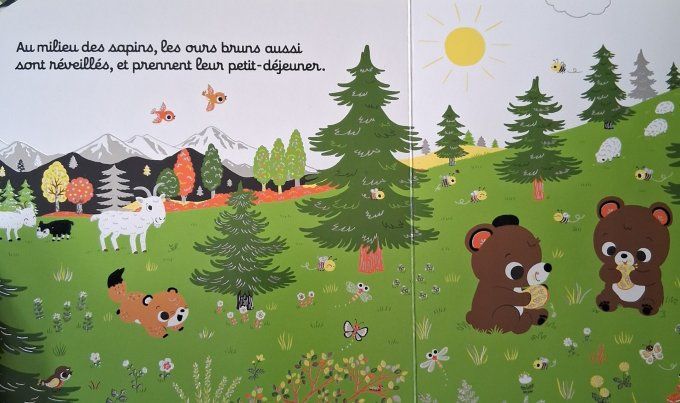 Regarde dans la montagne