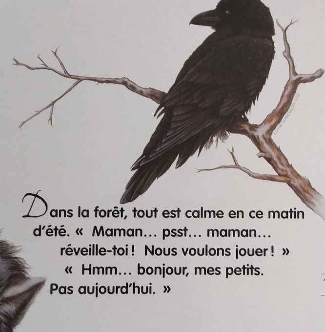 Regardez nous sommes des loups