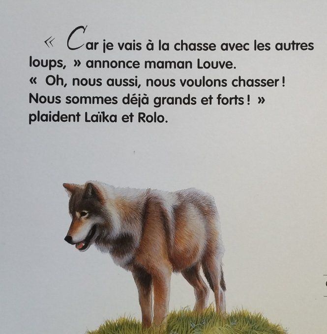 Regardez nous sommes des loups