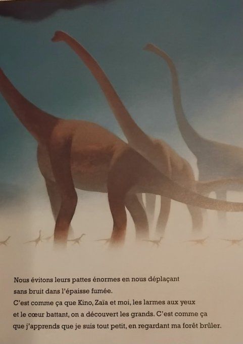 Rex et moi